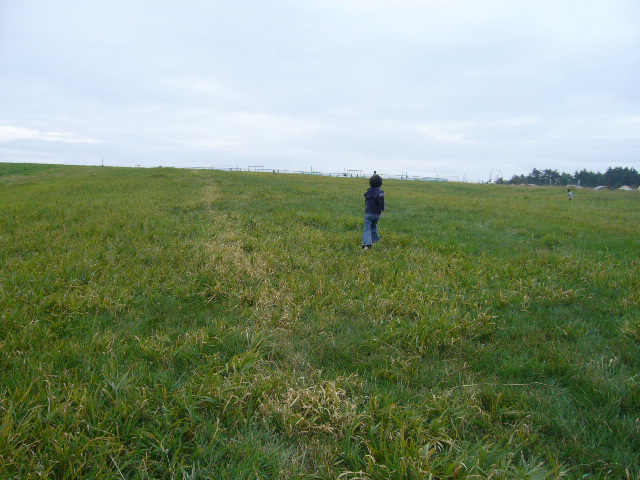 f0023329_1492149.jpg