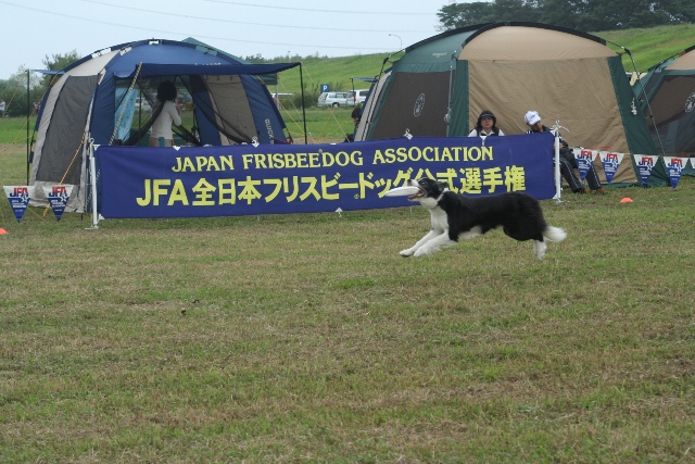 b0085331_11425674.jpg