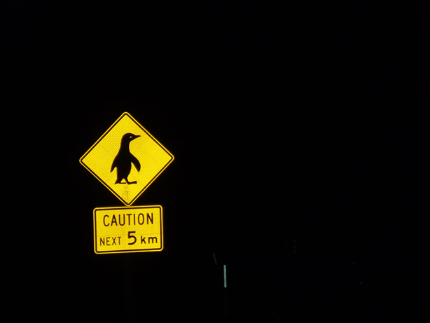 e0039531_8125174.jpg