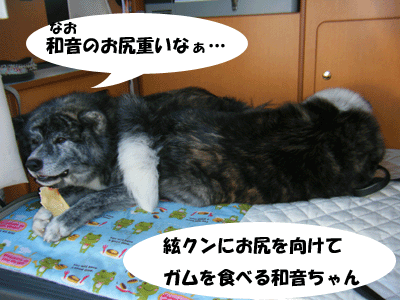 f0008935_9302458.gif