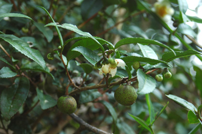 f0029536_15214225.jpg