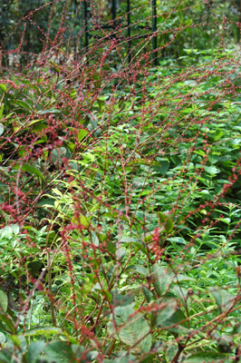 f0029536_15222145.jpg