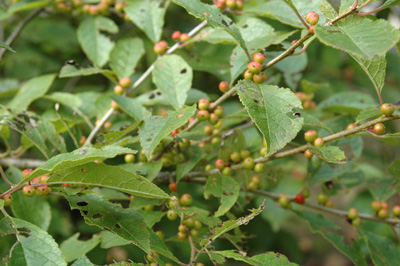 f0029536_15223519.jpg