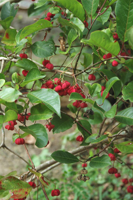 f0029536_1522394.jpg