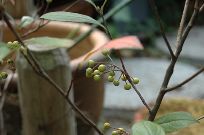 f0029536_15231597.jpg
