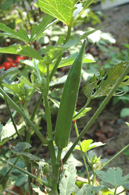 f0029536_15232931.jpg