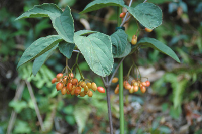 f0029536_15235240.jpg