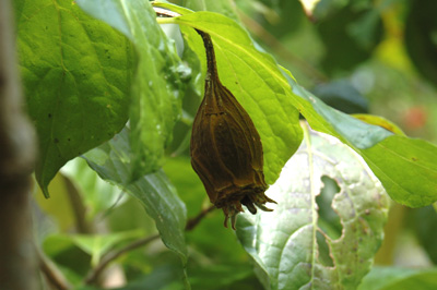 f0029536_1523572.jpg