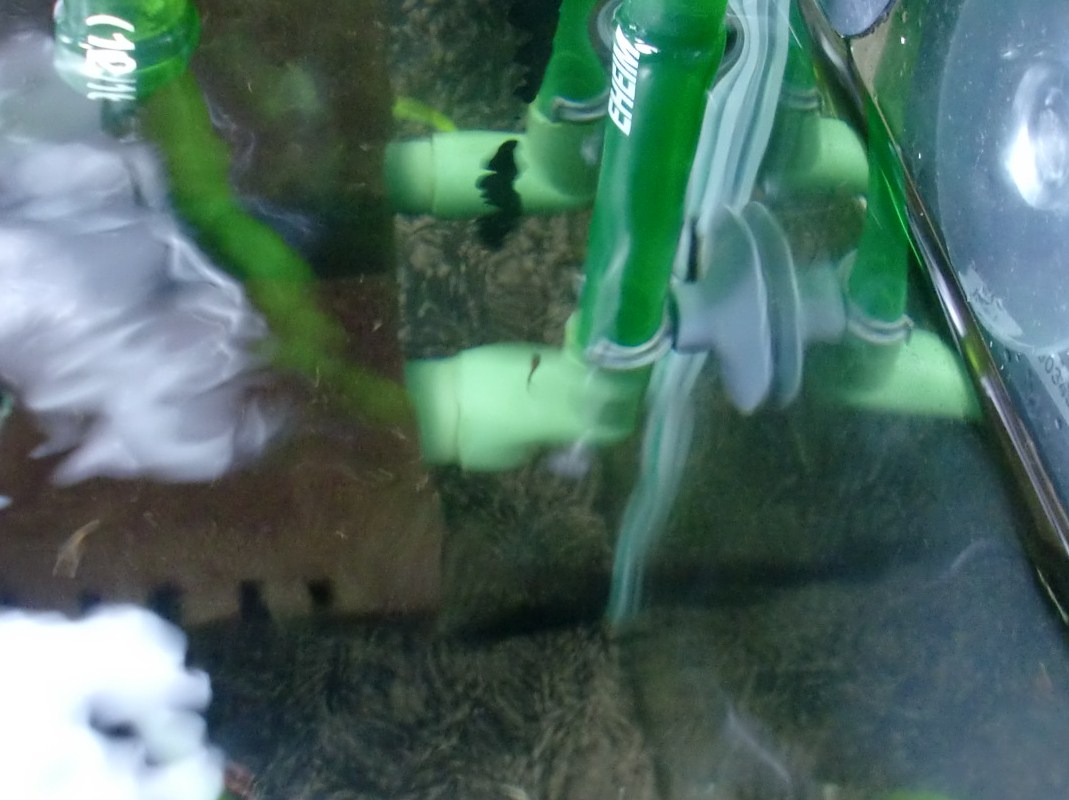 c0202937_13362843.jpg