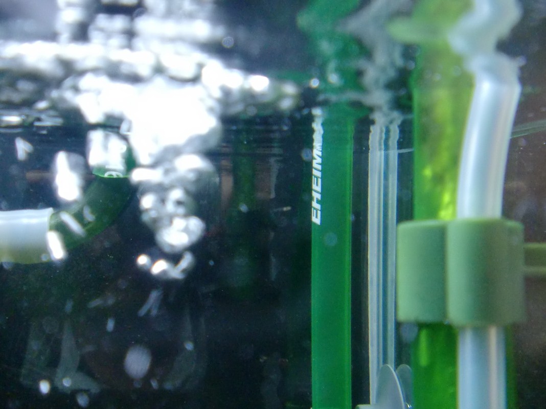 c0202937_1431276.jpg