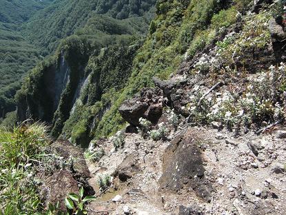 e0164643_11441777.jpg