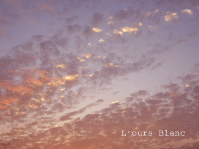 e0196543_1252316.gif