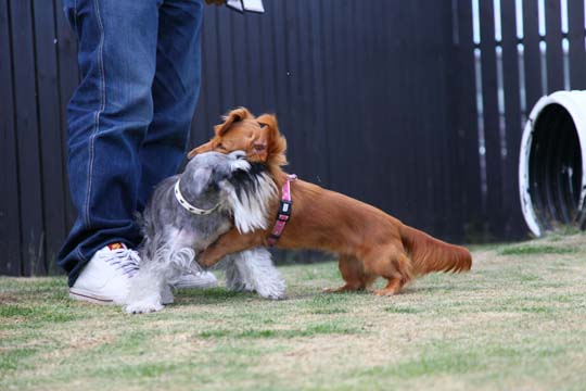 a0042044_2336585.jpg