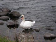 c0153444_1005684.jpg