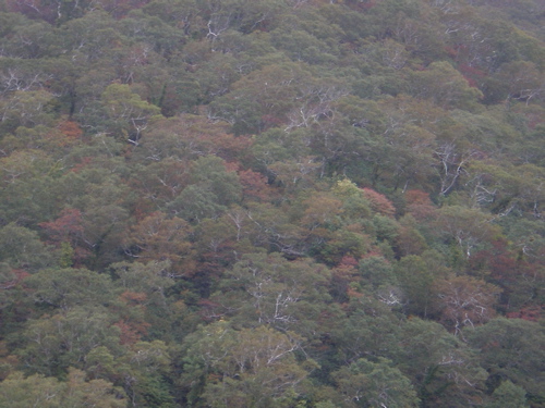 c0153444_9553513.jpg