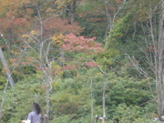 c0153444_9561831.jpg