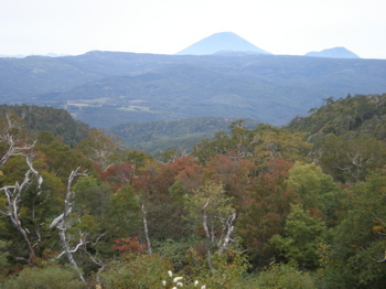 c0153444_9563336.jpg