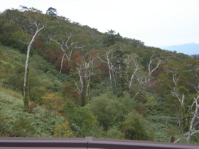 c0153444_95744.jpg