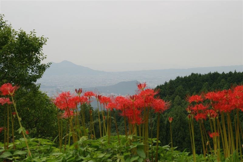 c0179844_9375595.jpg