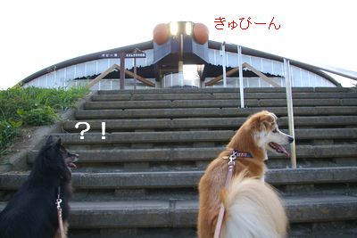 e0019550_20123061.jpg
