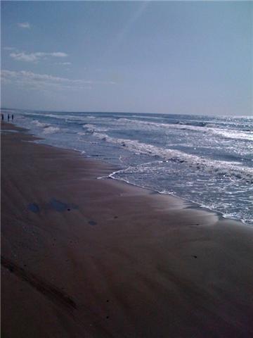 f0121751_12362227.jpg