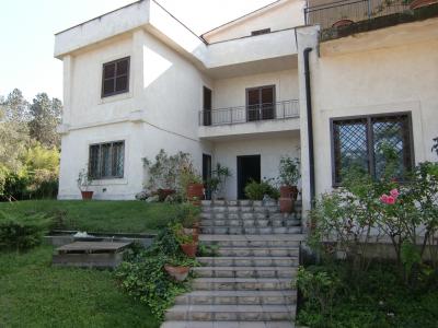 c0206352_33084.jpg