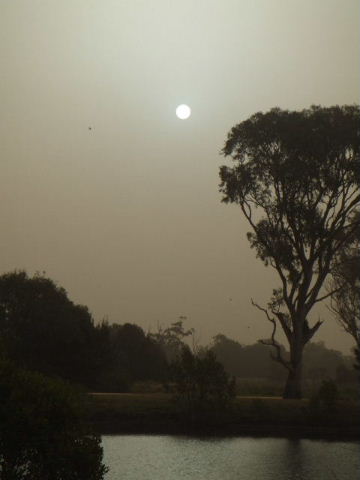 e0171460_20579.jpg