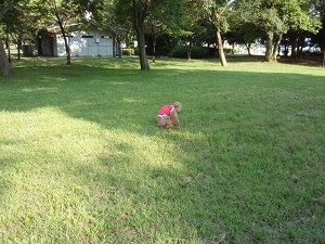 c0135363_261911.jpg