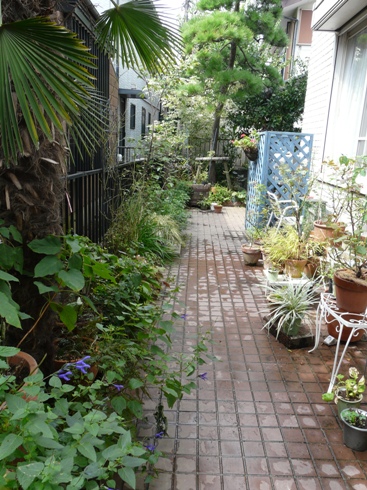 f0195963_8111885.jpg