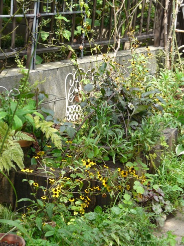 f0195963_812155.jpg