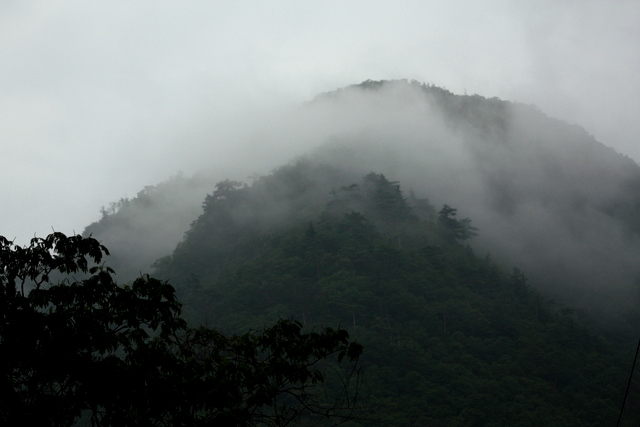 c0183164_949023.jpg