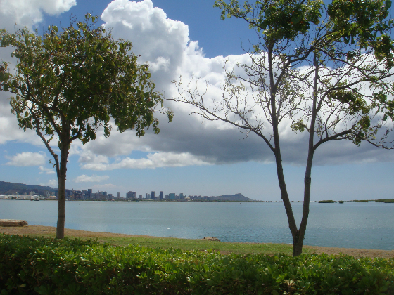 b0186666_9132013.jpg