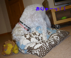 f0203369_21343372.jpg