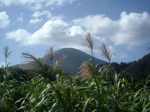 e0097770_01683.jpg