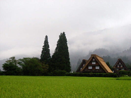 c0097371_0365976.jpg