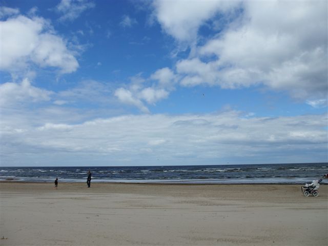 c0110871_0215355.jpg