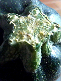 f0140174_1385374.jpg