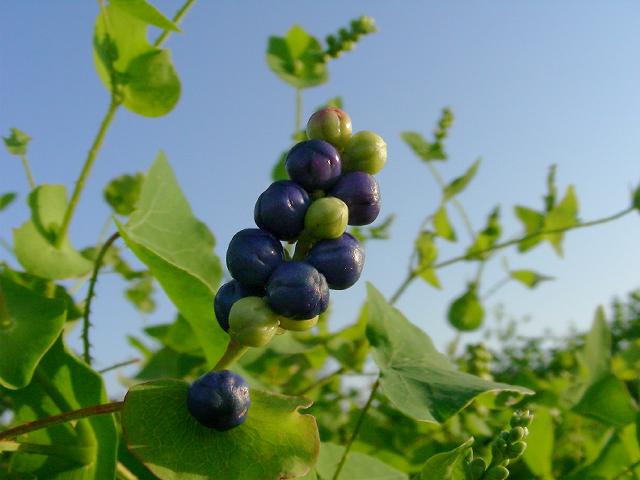 a0044076_21114033.jpg