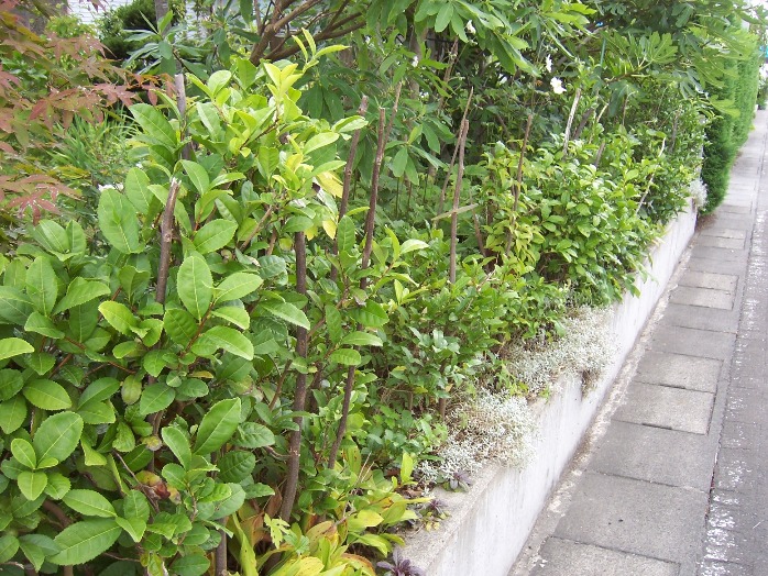 c0198781_143062.jpg