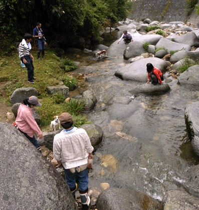 f0112087_1544850.jpg