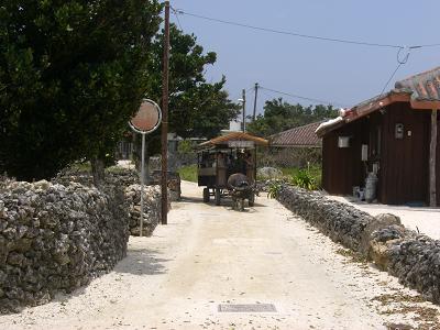 b0164291_2392860.jpg