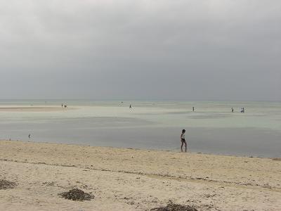 b0164291_2455547.jpg