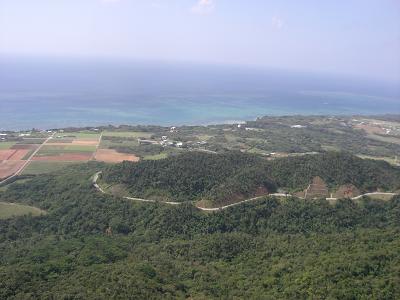 b0164291_452999.jpg