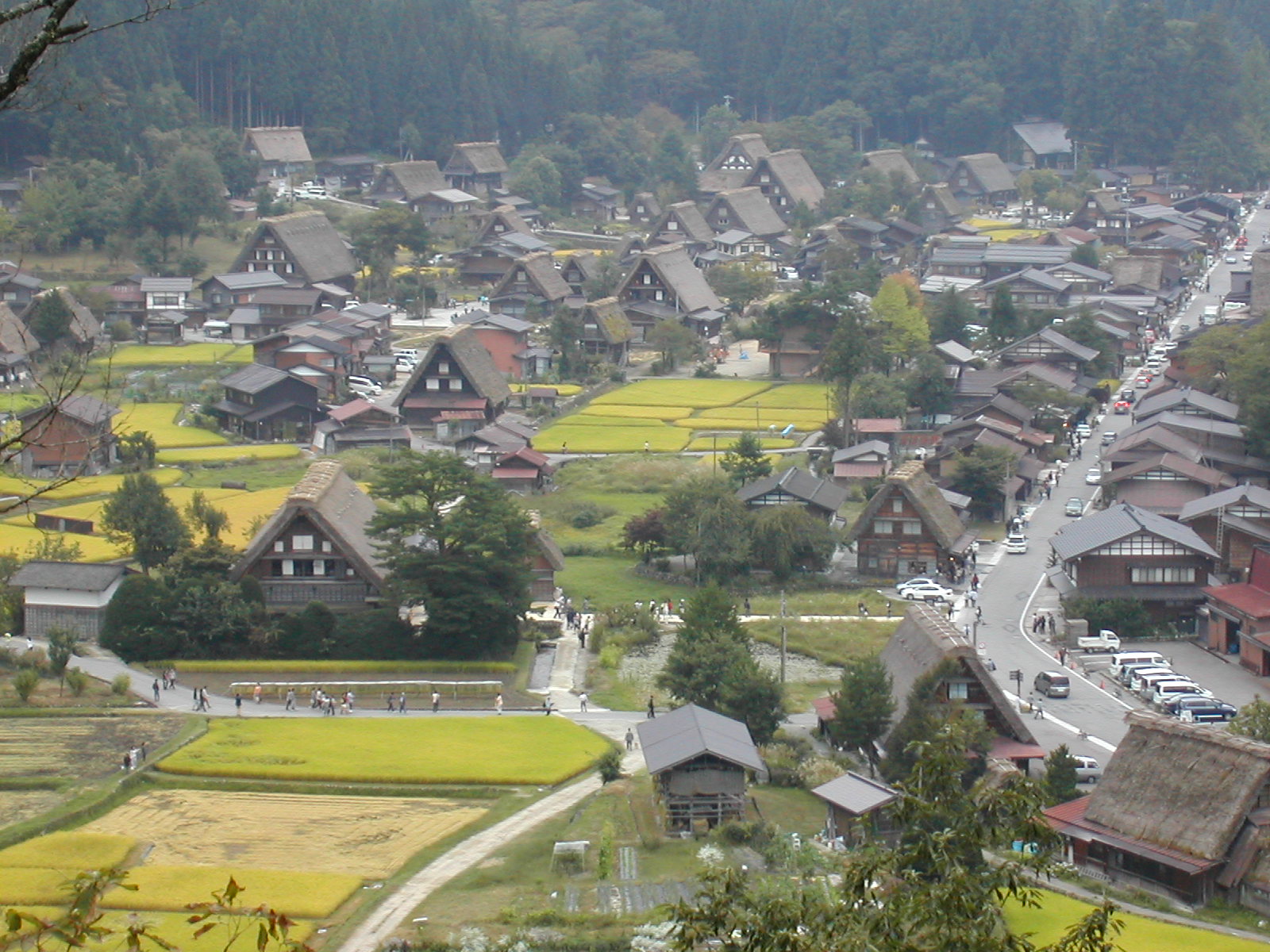 c0042491_13195827.jpg