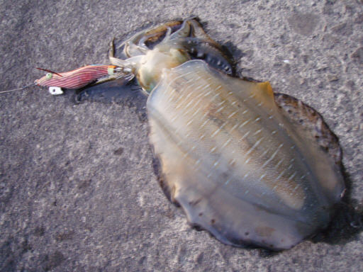 e0088092_22501412.jpg