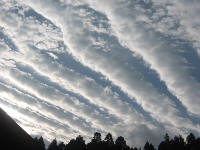 e0185092_16404295.jpg