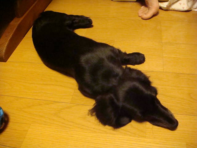 d0098295_0141132.jpg