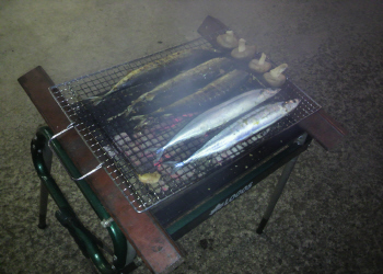 c0125996_1134378.jpg