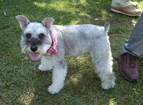 c0138198_15544661.jpg