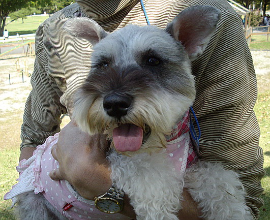 c0138198_1557456.jpg